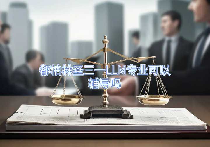 都柏林圣三一LLM專業可以輔導嗎