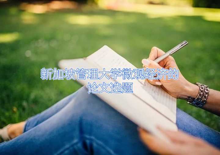 新加坡管理大學微觀經濟的論文選題