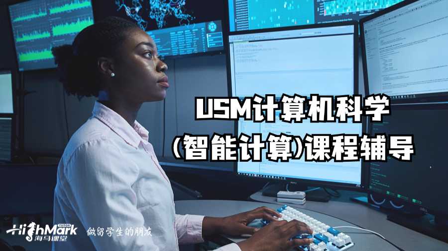 USM計算機科學(智能計算)課程輔導
