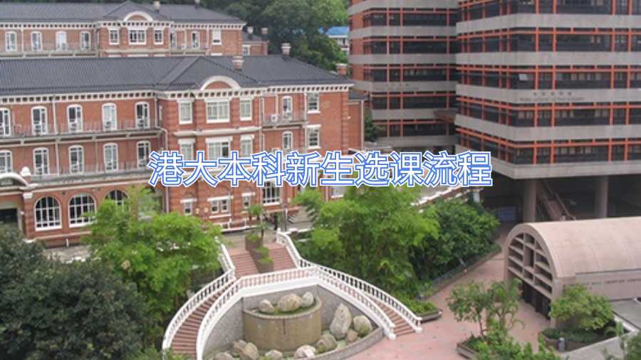 港大本科新生選課流程