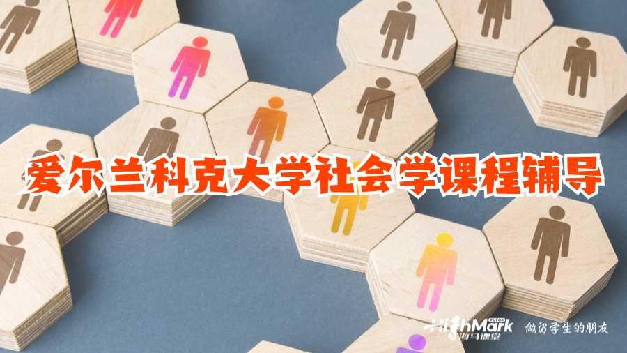 愛爾蘭科克大學(xué)社會(huì)學(xué)課程輔導(dǎo)