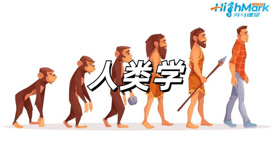 人類學課程輔導