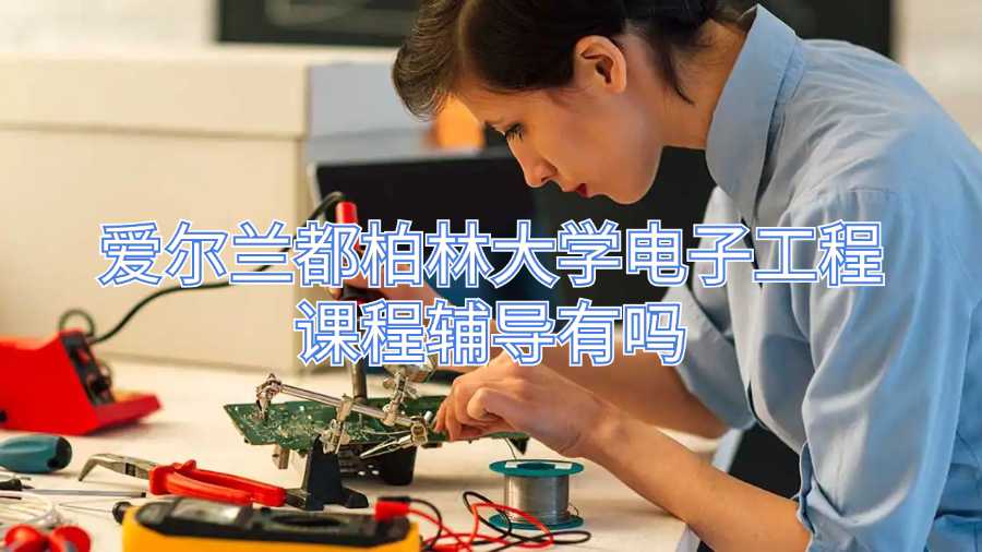 愛爾蘭都柏林大學電子工程課程輔導有嗎