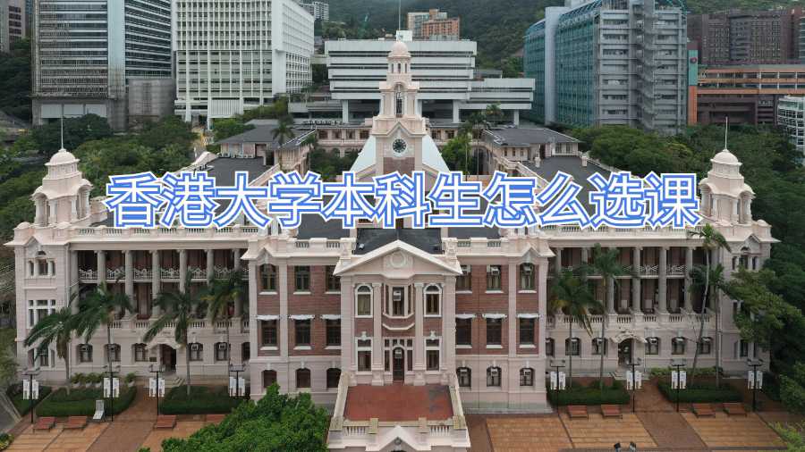 香港大學本科生怎么選課