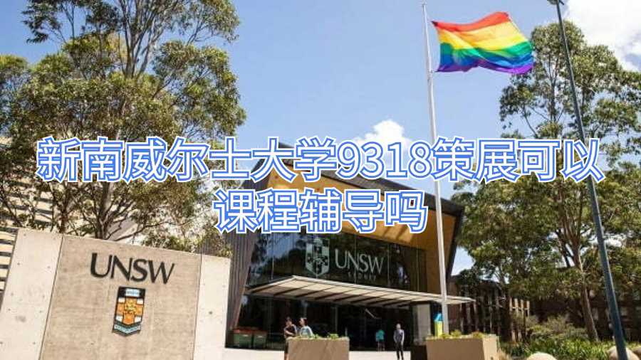 新南威爾士大學9318策展可以課程輔導嗎