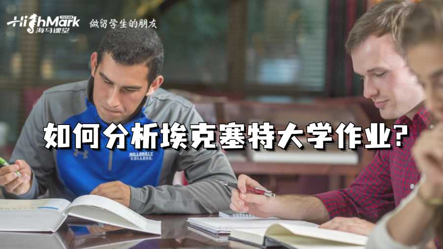 如何分析埃克塞特大學作業?