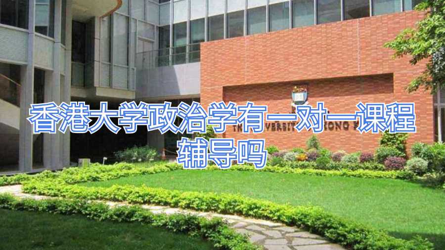 香港大學政治學有一對一課程輔導嗎