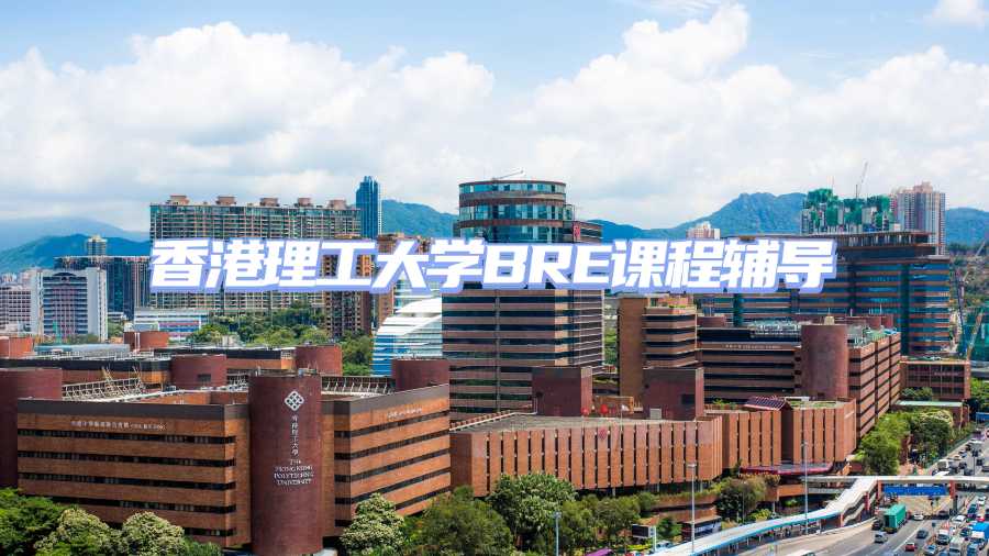 香港理工大學課程輔導