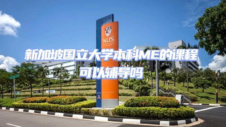 新加坡國立大學課程輔導