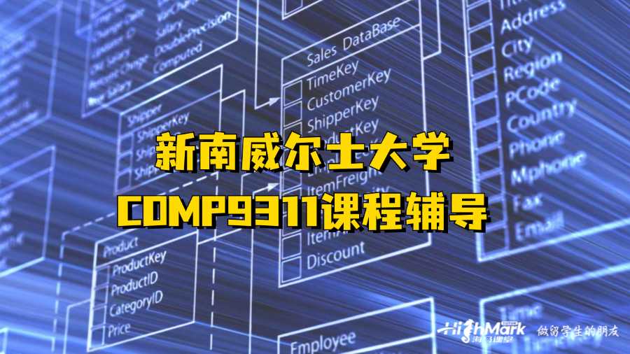 新南威爾士大學COMP9311課程輔導可以嗎?