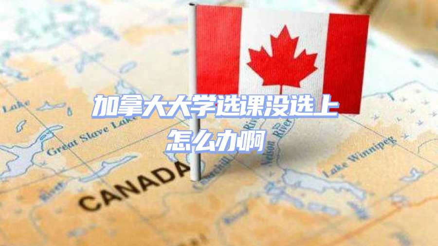 加拿大大學選課沒選上怎么辦啊