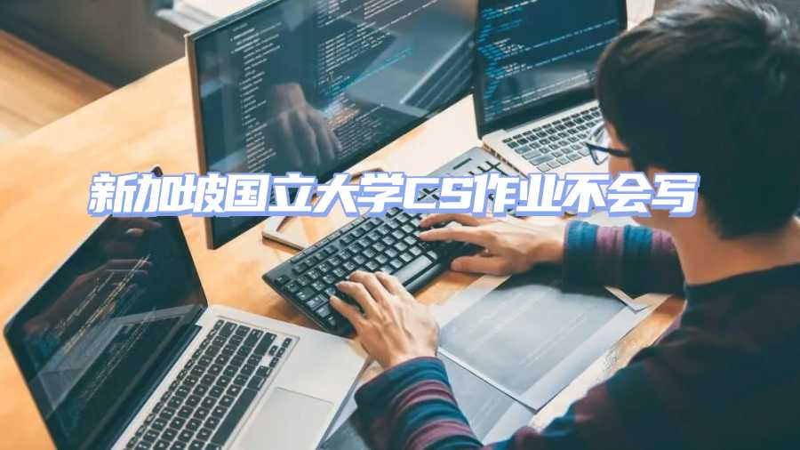 新加坡國立大學CS作業輔導