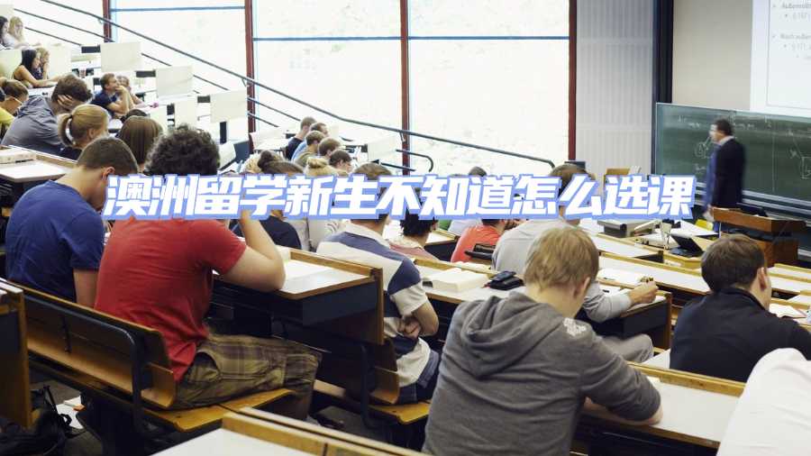 澳洲留學新生不知道怎么選課