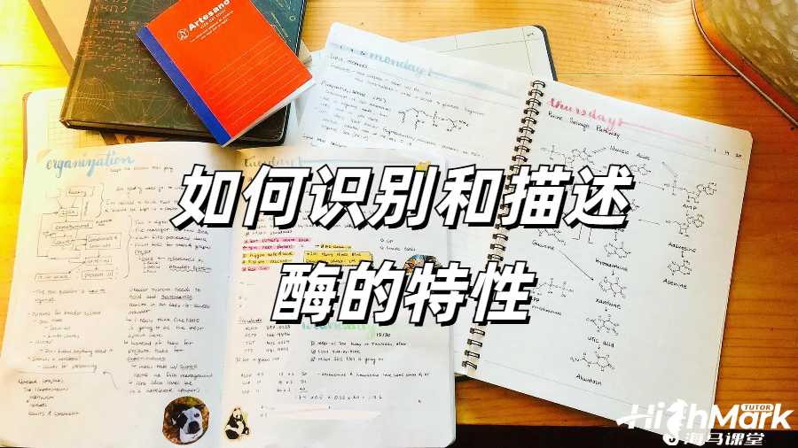 英國留學生畢業論文學術不端