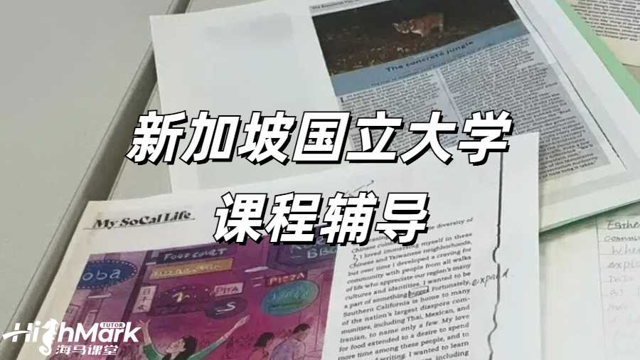 新加坡國立大學課程輔導