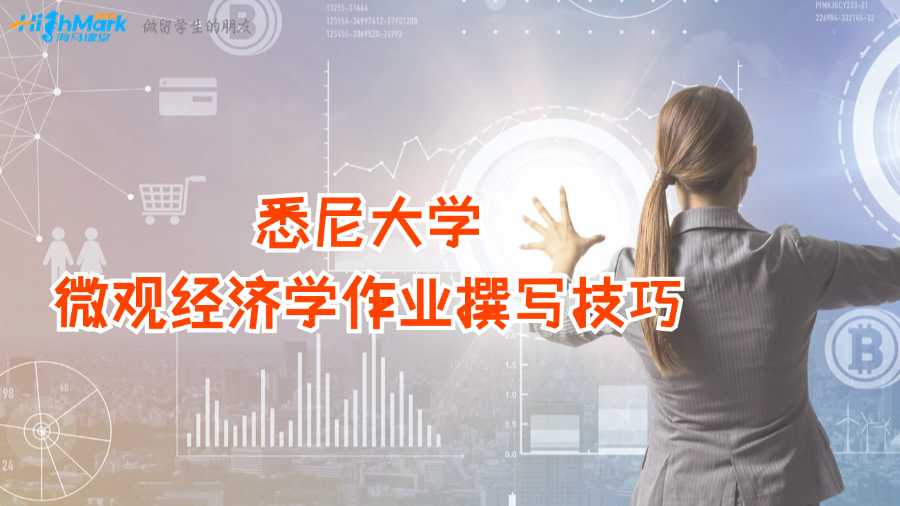 悉尼大學微觀經濟學作業撰寫技巧
