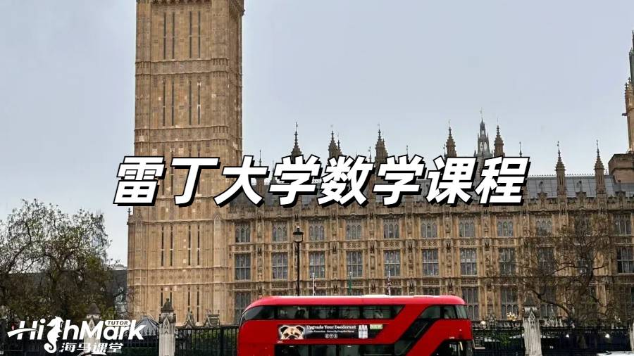 雷丁大學數學課程主要講什么?