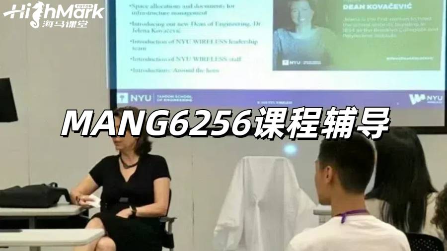 南安普敦大學MANG6256市場營銷專業課程輔導