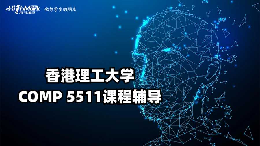 香港理工大學COMP 5511課程輔導