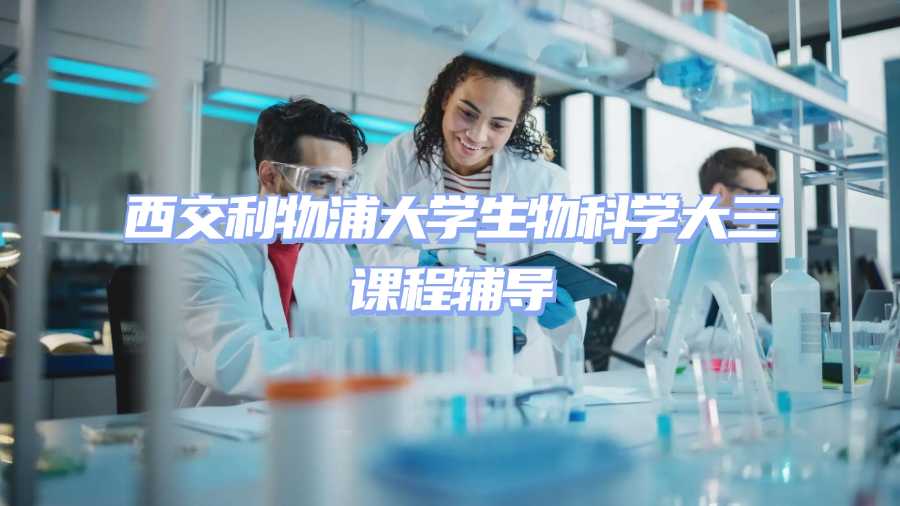 西交利物浦大學課程輔導