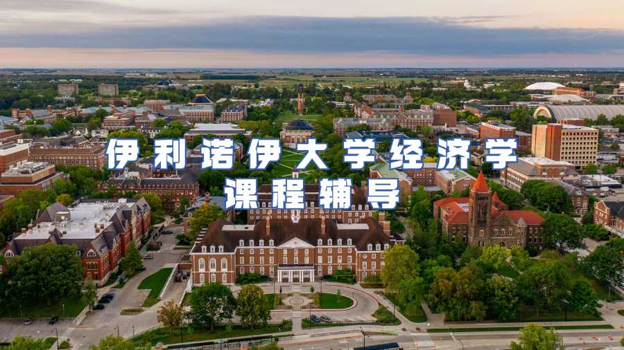 伊利諾伊大學(xué)經(jīng)濟(jì)學(xué)課程輔導(dǎo)