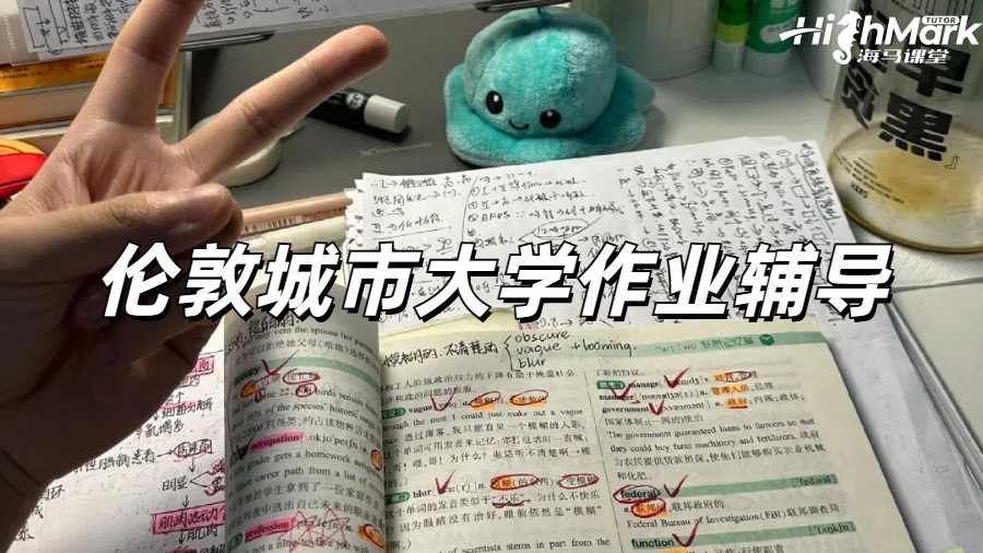 倫敦城市大學作業輔導