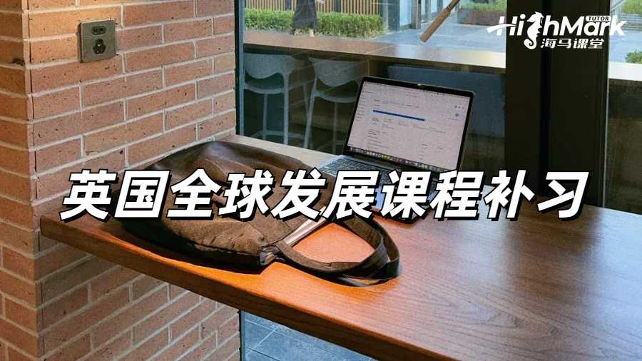 英國曼徹斯特大學全球發展課程補習