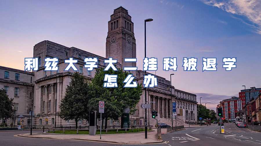 利茲大學大二掛科被退學怎么辦