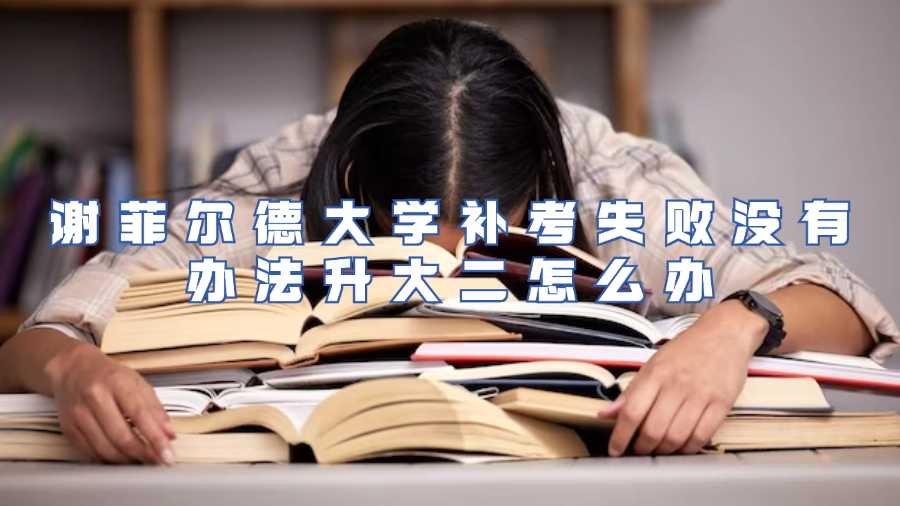 謝菲爾德大學補考失敗沒有辦法升大二怎么辦