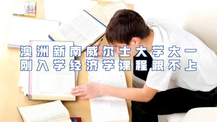 澳洲新南威爾士大學大一剛入學經濟學課程跟不上
