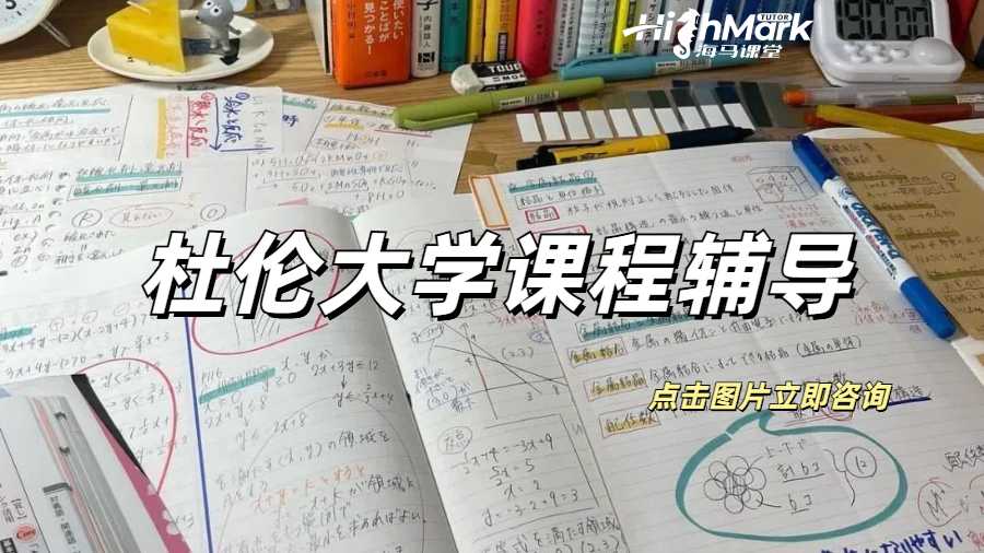 留學(xué)生課程輔導(dǎo)