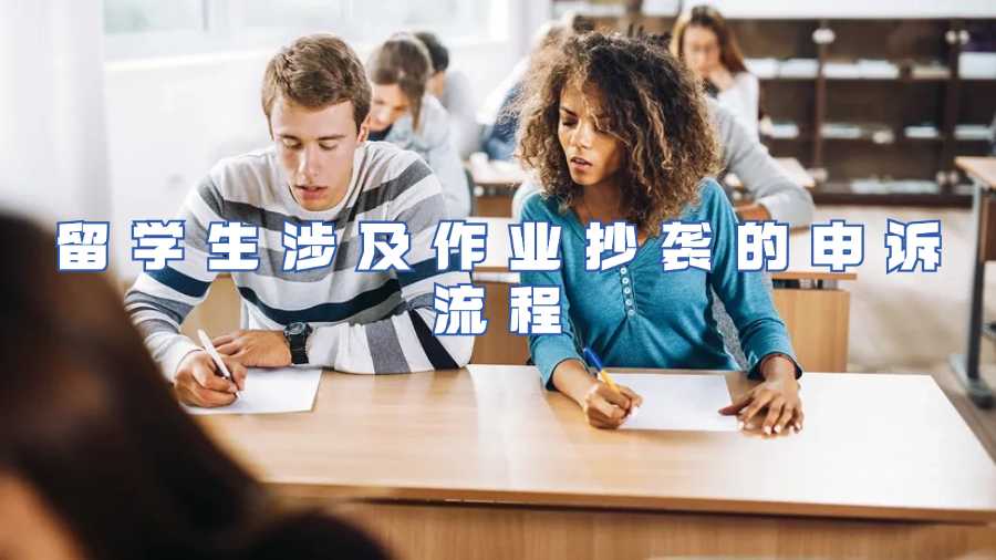 留學生涉及作業抄襲的申訴流程