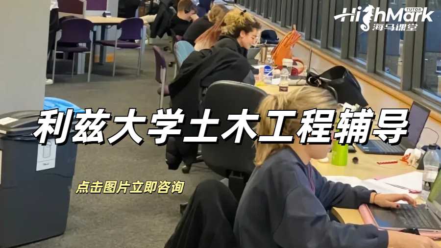 利茲大學土木工程輔導