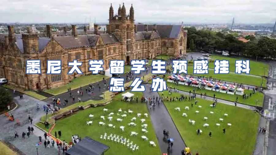悉尼大學留學生預感掛科怎么辦
