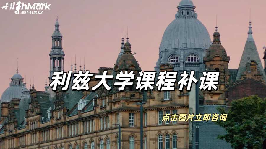 利茲大學課程聽不懂補課指南