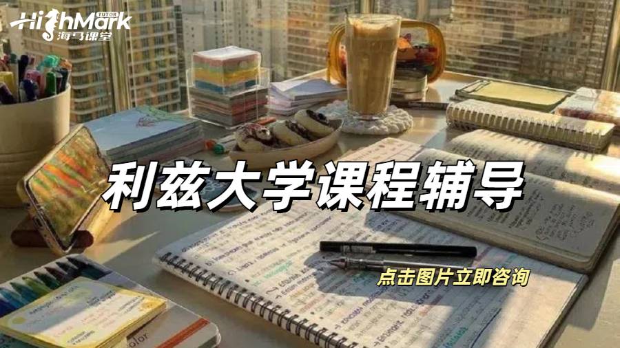 利茲大學經濟與金融課程可以輔導嗎？