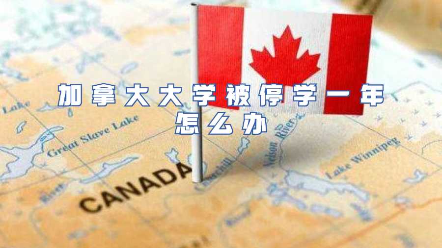 加拿大大學被停學一年怎么辦