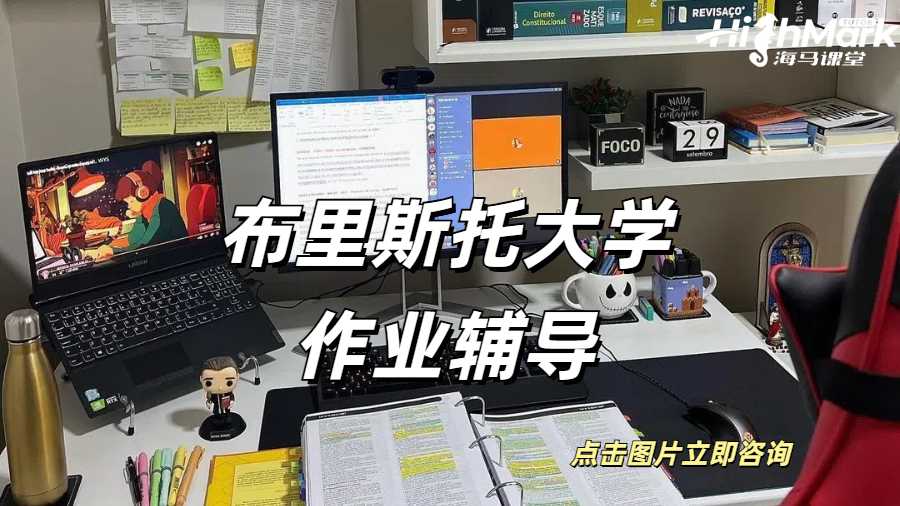 布里斯托assignment