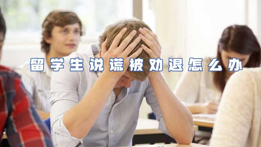 留學(xué)生說謊被勸退怎么辦