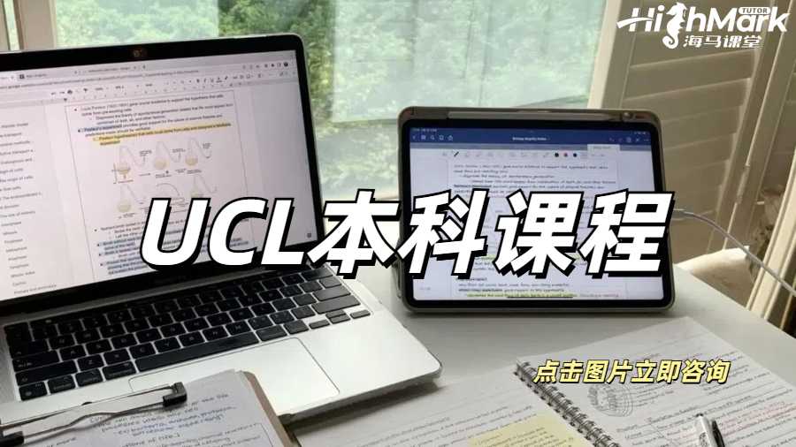 UCL本科課程