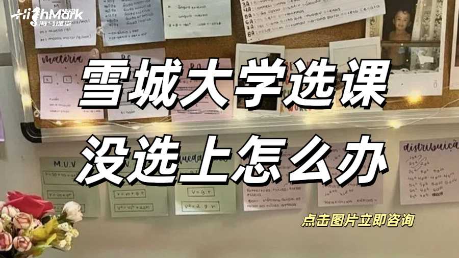 雪城大學選課沒選上怎么辦