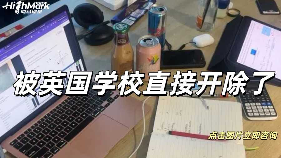 被英國學校直接開除了怎么辦?