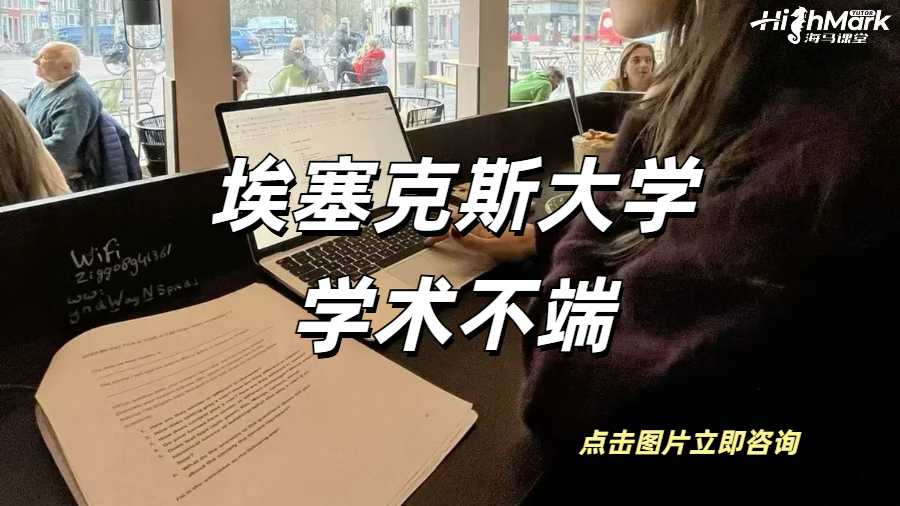 埃塞克斯大學學術不端