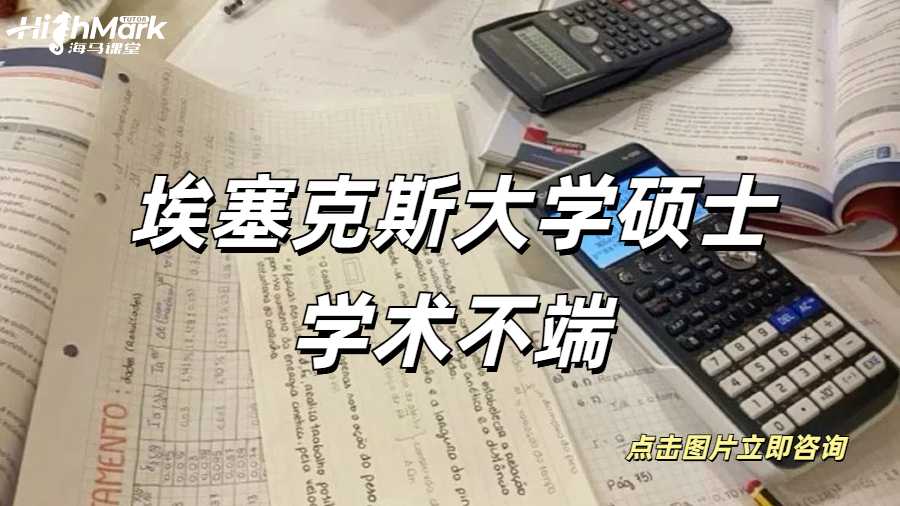 埃塞克斯大學學術不端