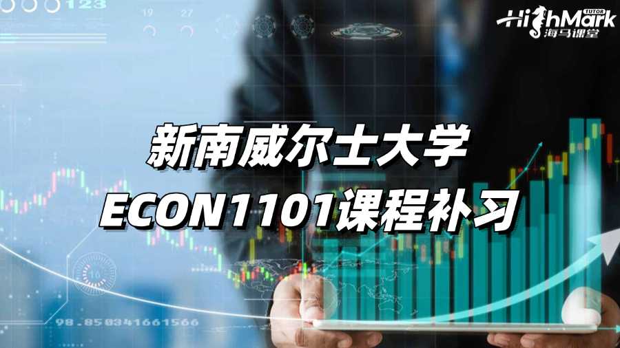 新南威爾士大學ECON1101課程補習