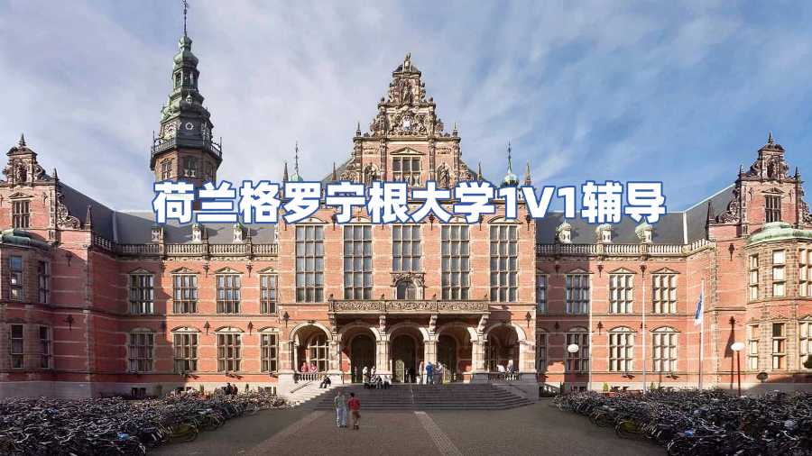 荷蘭格羅寧根大學(xué)課程輔導(dǎo)