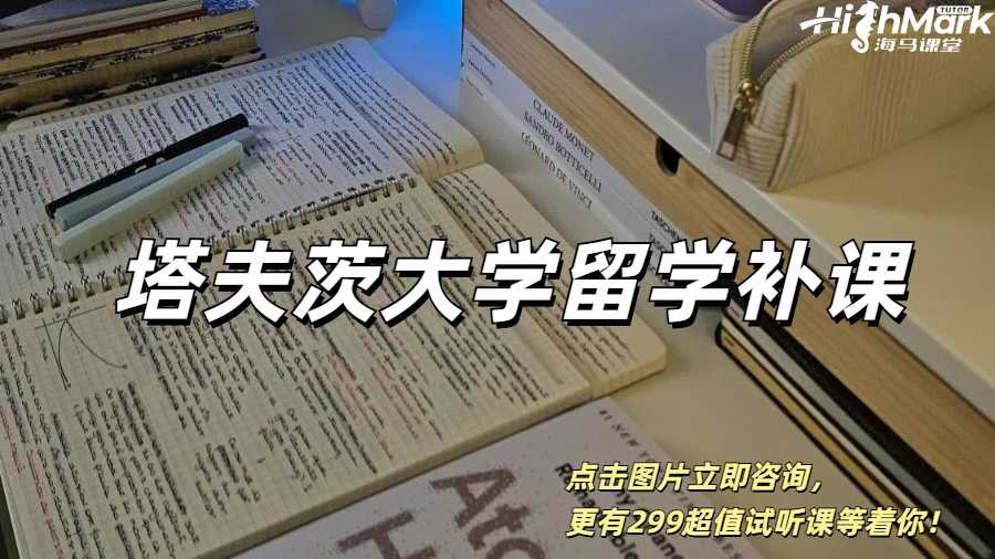 塔夫茨大學(xué)留學(xué)補(bǔ)課