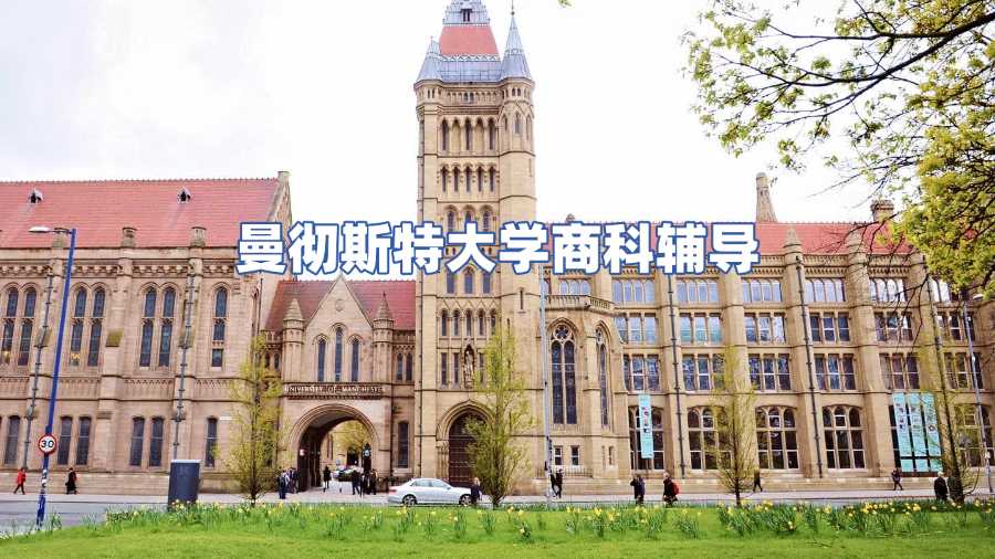 曼徹斯特大學商科課程輔導