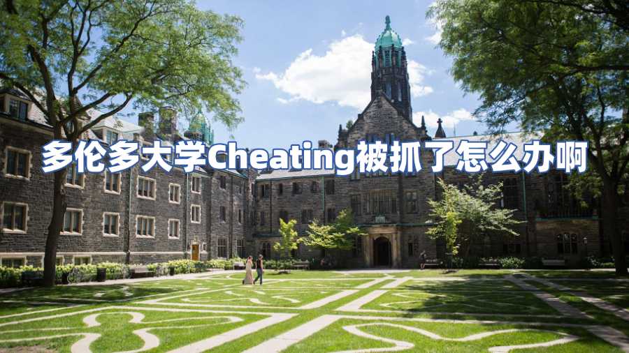 多倫多大學Cheating被抓了怎么辦啊