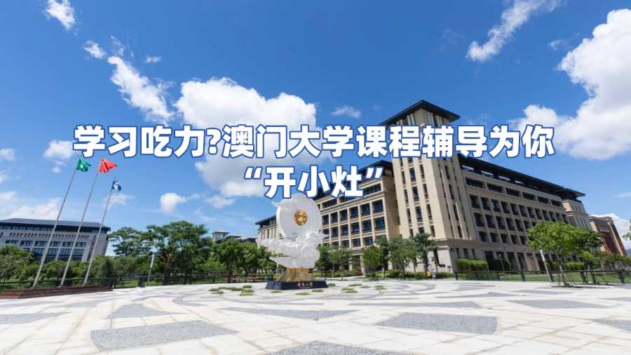 澳門大學課程輔導